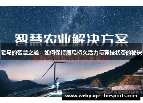 老马的智慧之道：如何保持魔鸟持久活力与竞技状态的秘诀