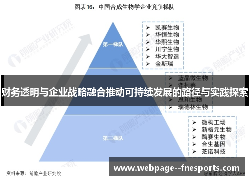 财务透明与企业战略融合推动可持续发展的路径与实践探索 财务透明与企业战略融合推动可持续发展的路径与实践探索