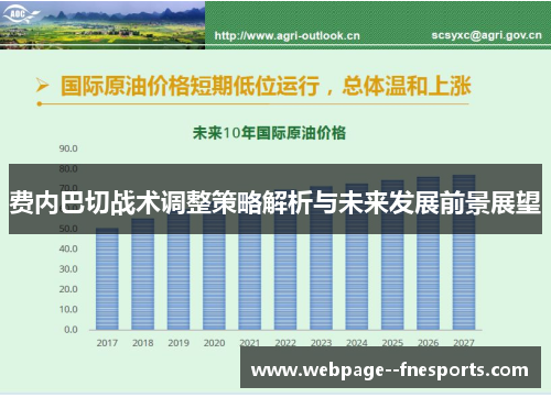 费内巴切战术调整策略解析与未来发展前景展望