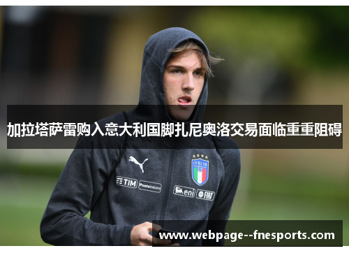 加拉塔萨雷购入意大利国脚扎尼奥洛交易面临重重阻碍