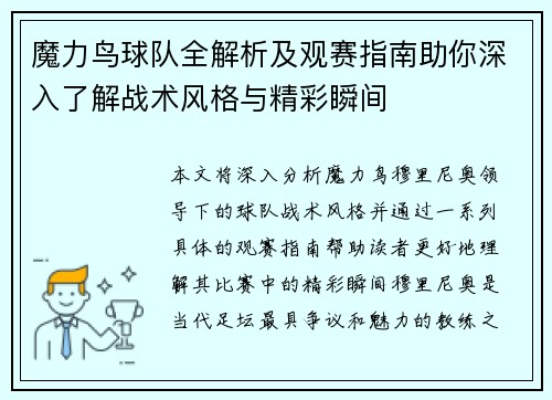 魔力鸟球队全解析及观赛指南助你深入了解战术风格与精彩瞬间